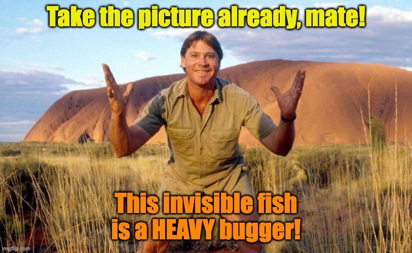 This fish is a heavy bugger! | Take the picture already, mate! This invisible fish
is a HEAVY bugger! | image tagged in steve irwin crocodile hunter | made w/ Imgflip meme maker