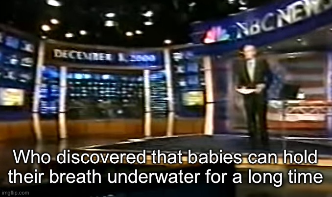 December 8, 2000 | Who discovered that babies can hold their breath underwater for a long time | image tagged in december 8 2000 | made w/ Imgflip meme maker