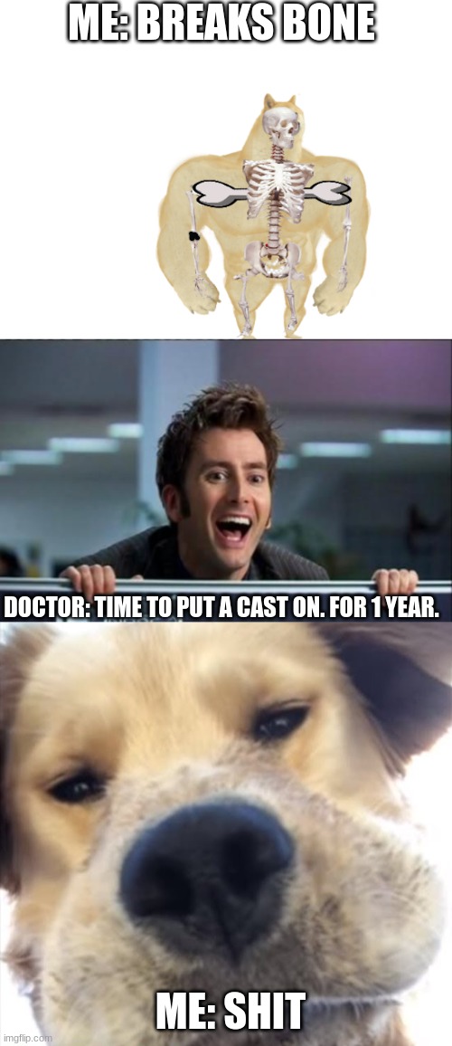 bonezzzzzzzzzzzzzzzzzzzzzzzzzzzzzzzzzzzzzzzzzzzzzzzzzzzzzzzzzzzzzzzzzzzz | ME: BREAKS BONE; DOCTOR: TIME TO PUT A CAST ON. FOR 1 YEAR. ME: SHIT | image tagged in buff doge skeleton,doctor who,doggo bruh | made w/ Imgflip meme maker