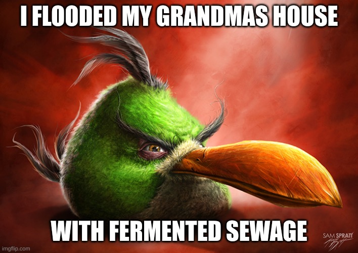 Angry Bird 4 | I FLOODED MY GRANDMAS HOUSE; WITH FERMENTED SEWAGE | image tagged in angry bird 4 | made w/ Imgflip meme maker