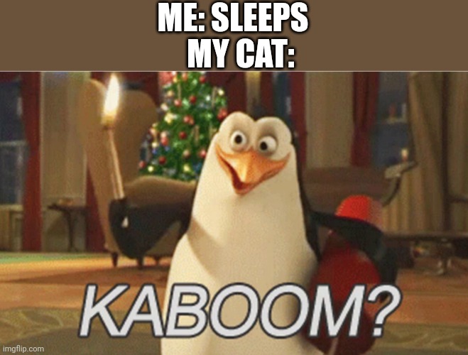 penguins of Madagascar "kaboom?" | ME: SLEEPS; MY CAT: | image tagged in penguins of madagascar kaboom | made w/ Imgflip meme maker