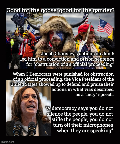 Good for the goose; good for the gander | Good for the goose; good for the gander? Jacob Chansley's actions on Jan 6 led him to a conviction and prison sentence for "obstruction of an official proceeding"; When 3 Democrats were punished for obstruction
of an official proceeding, the Vice President of the
United States showed up to defend and praise their
actions in what was described
as a "fiery" speech. “A democracy says you do not
silence the people, you do not
stifle the people, you do not
turn off their microphones
when they are speaking” | image tagged in kamala harris,tennessee legislators,jacob chansley | made w/ Imgflip meme maker