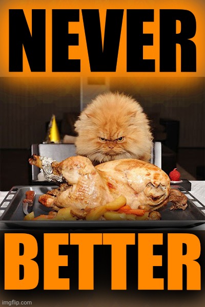 Cat looking at chicken | NEVER BETTER | image tagged in cat looking at chicken | made w/ Imgflip meme maker