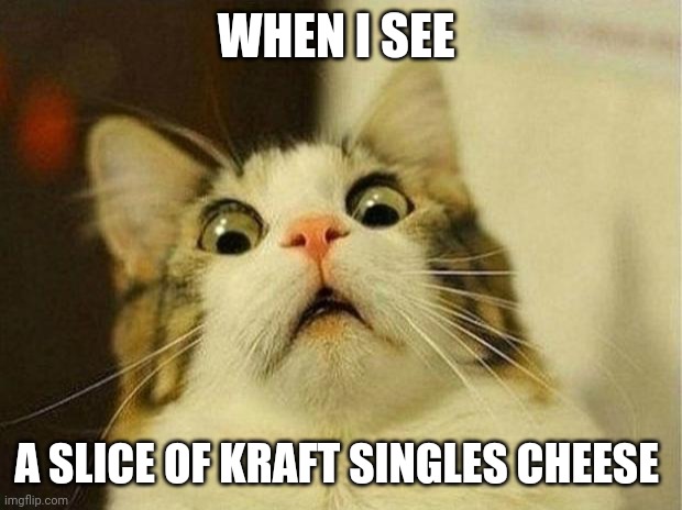 Cheese is scary | WHEN I SEE; A SLICE OF KRAFT SINGLES CHEESE | image tagged in memes,scared cat | made w/ Imgflip meme maker