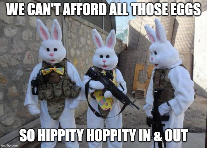 Easter Bunny Tatical | WE CAN'T AFFORD ALL THOSE EGGS; SO HIPPITY HOPPITY IN & OUT | image tagged in easter bunny tatical | made w/ Imgflip meme maker