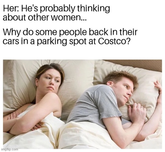 image tagged in memes | made w/ Imgflip meme maker
