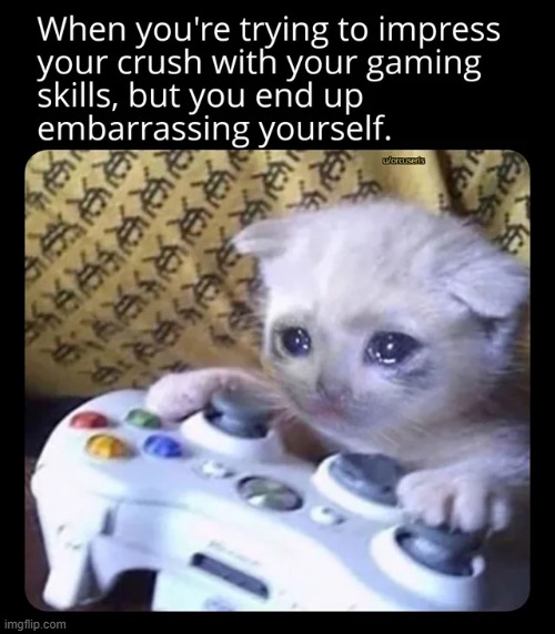 image tagged in memes | made w/ Imgflip meme maker
