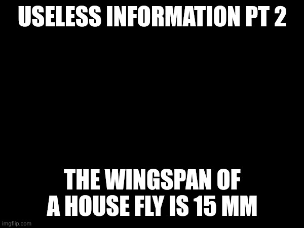 Useless information pt 2 | USELESS INFORMATION PT 2; THE WINGSPAN OF A HOUSE FLY IS 15 MM | made w/ Imgflip meme maker