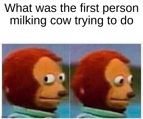 Monkey Puppet | What was the first person milking cow trying to do | image tagged in memes,monkey puppet | made w/ Imgflip meme maker