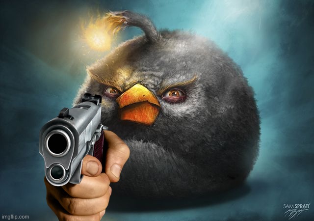 angry birds bomb | image tagged in angry birds bomb | made w/ Imgflip meme maker