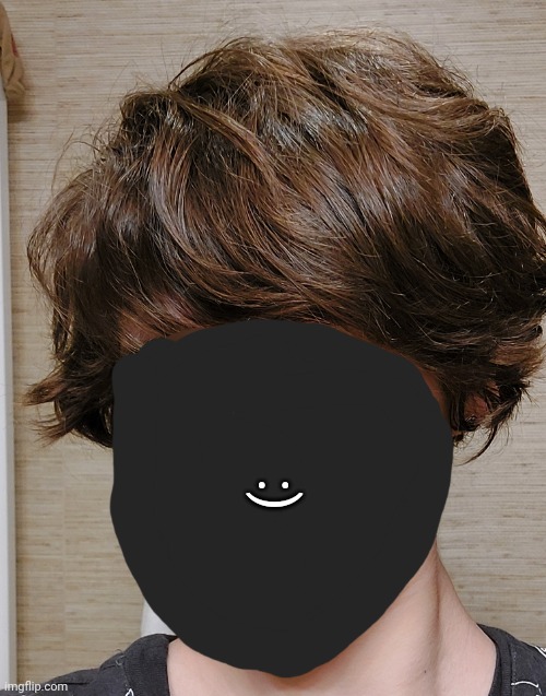 Hair reveal because some people are calling me underage. Not sure if this proves anything but I refuse to show my face | :) | made w/ Imgflip meme maker