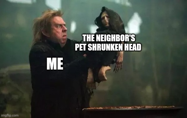 Who keeps a shrunken head for a pet | THE NEIGHBOR'S PET SHRUNKEN HEAD; ME | image tagged in gross baby voldemort | made w/ Imgflip meme maker