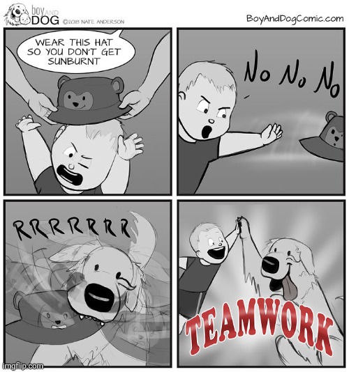 Dog and human teamwork | image tagged in dog,human,teamwork,hat,comics,comics/cartoons | made w/ Imgflip meme maker