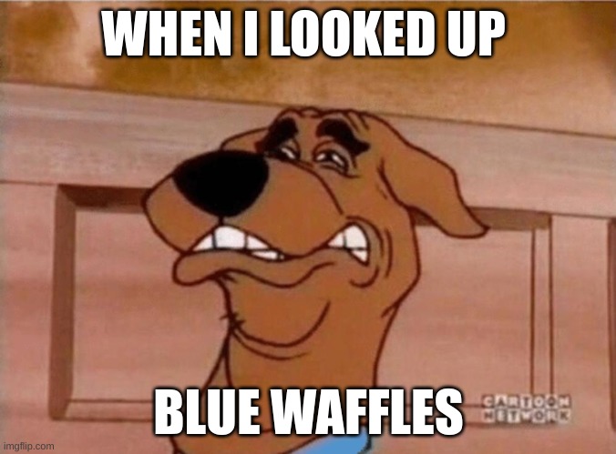 dont look up this | WHEN I LOOKED UP; BLUE WAFFLES | image tagged in scooby cringe | made w/ Imgflip meme maker