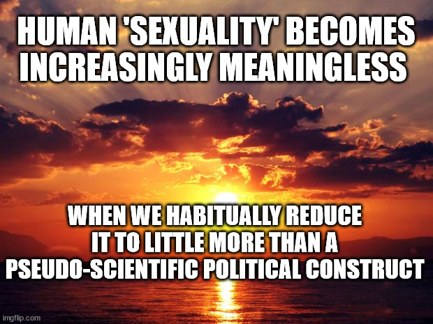 Sunset | HUMAN 'SEXUALITY' BECOMES INCREASINGLY MEANINGLESS; WHEN WE HABITUALLY REDUCE IT TO LITTLE MORE THAN A PSEUDO-SCIENTIFIC POLITICAL CONSTRUCT | image tagged in sunset | made w/ Imgflip meme maker