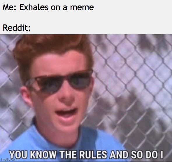 image tagged in memes,funny,rickroll | made w/ Imgflip meme maker