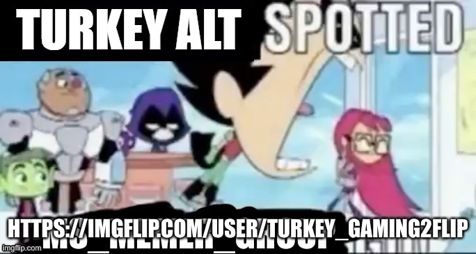 HTTPS://IMGFLIP.COM/USER/TURKEY_GAMING2FLIP | image tagged in turkey alt spotted msmg go | made w/ Imgflip meme maker