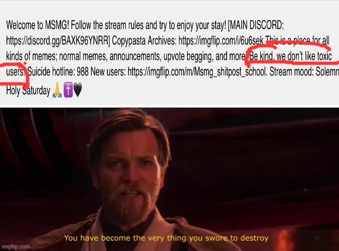 Guys msmg users who are toxic are breaking their own rules! | image tagged in you have become the very thing you swore to destroy | made w/ Imgflip meme maker