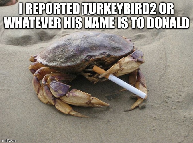 Kreb | I REPORTED TURKEYBIRD2 OR WHATEVER HIS NAME IS TO DONALD | image tagged in kreb | made w/ Imgflip meme maker