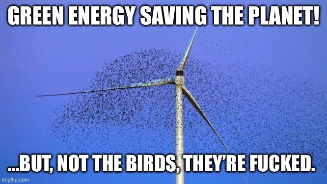 GREEN ENERGY SAVING THE PLANET! …BUT, NOT THE BIRDS, THEY’RE FUCKED. | made w/ Imgflip meme maker