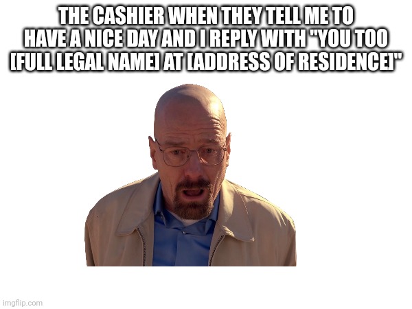Waltuh | THE CASHIER WHEN THEY TELL ME TO HAVE A NICE DAY AND I REPLY WITH "YOU TOO [FULL LEGAL NAME] AT [ADDRESS OF RESIDENCE]" | image tagged in funny | made w/ Imgflip meme maker