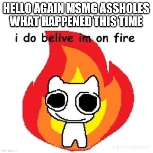 mmmm diagnosed adhd | HELLO AGAIN MSMG ASSHOLES WHAT HAPPENED THIS TIME | image tagged in mmmm diagnosed adhd | made w/ Imgflip meme maker