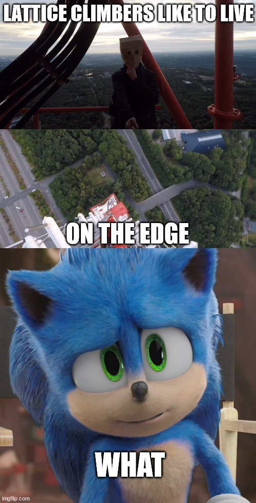 WHAT | image tagged in sonic | made w/ Imgflip meme maker