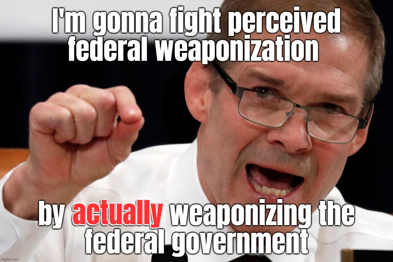 again | I'm gonna fight perceived federal weaponization; actually; by actually weaponizing the
federal government | image tagged in ohio congressman jim jordan saying something stupid | made w/ Imgflip meme maker