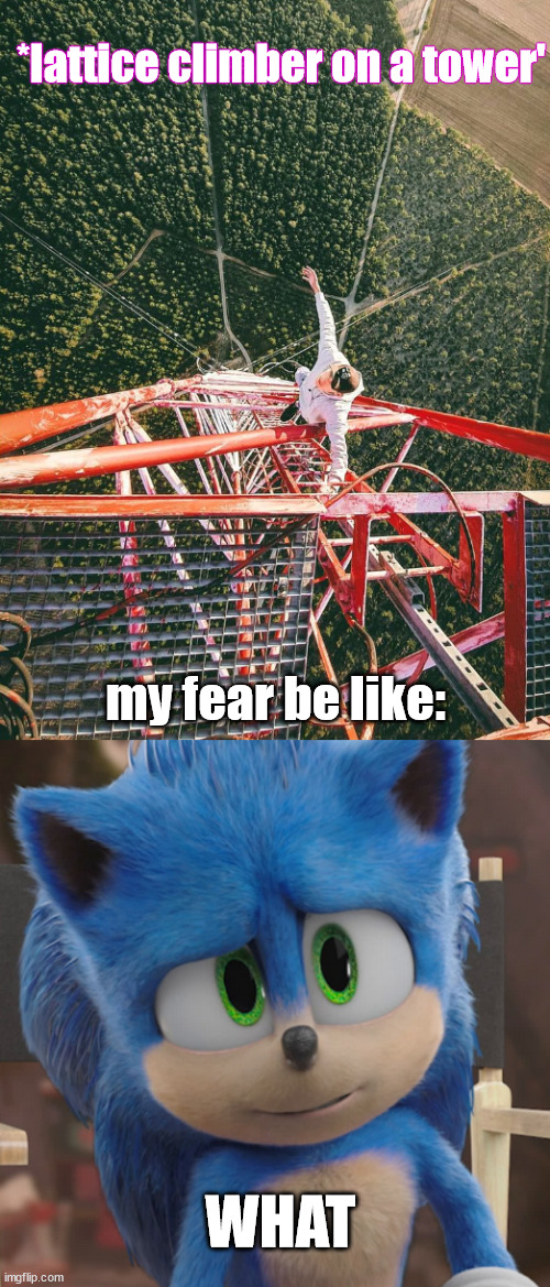 *lattice climber on a tower'; my fear be like:; WHAT | image tagged in sonic | made w/ Imgflip meme maker