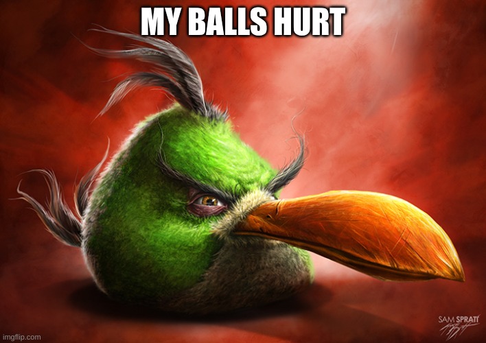 Angry Bird 4 | MY BALLS HURT | image tagged in angry bird 4 | made w/ Imgflip meme maker