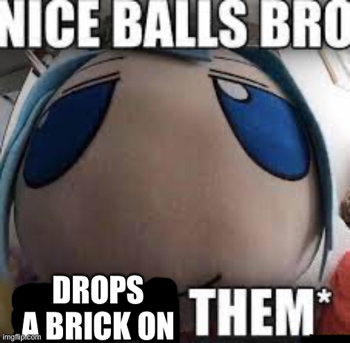 nice balls bro | DROPS A BRICK ON | image tagged in nice balls bro | made w/ Imgflip meme maker