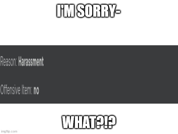 someone explain please- | I'M SORRY-; WHAT?!? | image tagged in banned from roblox,roblox,sadness | made w/ Imgflip meme maker