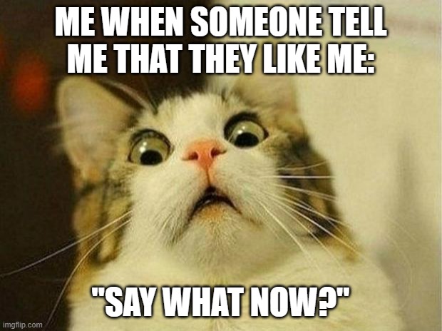 me? | ME WHEN SOMEONE TELL ME THAT THEY LIKE ME:; "SAY WHAT NOW?" | image tagged in memes,scared cat | made w/ Imgflip meme maker