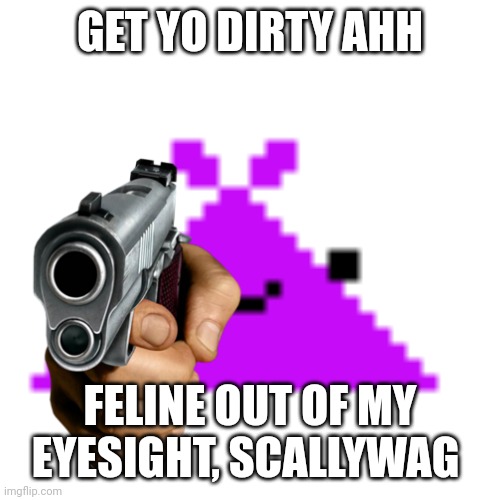 GET YO DIRTY AHH FELINE OUT OF MY EYESIGHT, SCALLYWAG | made w/ Imgflip meme maker