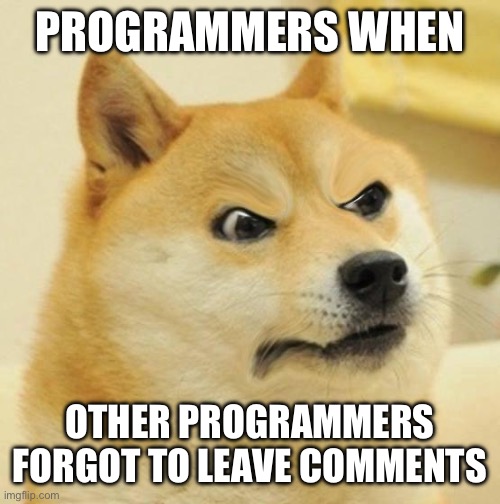 Confused Angery Doge | PROGRAMMERS WHEN OTHER PROGRAMMERS FORGOT TO LEAVE COMMENTS | image tagged in confused angery doge | made w/ Imgflip meme maker