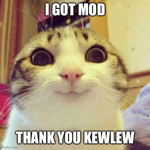 Smiling Cat | I GOT MOD; THANK YOU KEWLEW | image tagged in memes,smiling cat | made w/ Imgflip meme maker