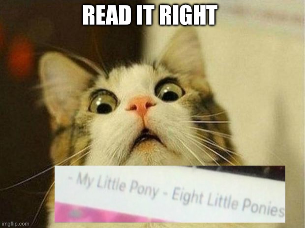 Scared Cat | READ IT RIGHT | image tagged in memes,scared cat | made w/ Imgflip meme maker