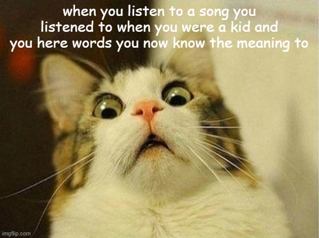 fr tho | when you listen to a song you listened to when you were a kid and you here words you now know the meaning to | image tagged in memes,scared cat | made w/ Imgflip meme maker