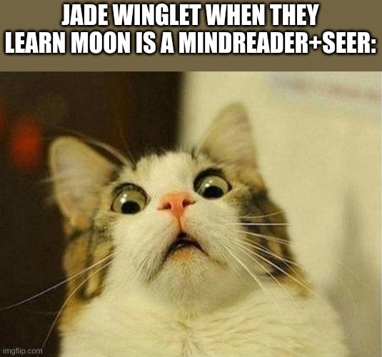 "i cant believe shes a mary sue!" | JADE WINGLET WHEN THEY LEARN MOON IS A MINDREADER+SEER: | image tagged in memes,scared cat | made w/ Imgflip meme maker