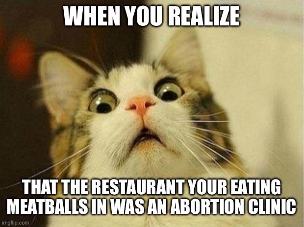 Scared Cat Meme | WHEN YOU REALIZE; THAT THE RESTAURANT YOUR EATING MEATBALLS IN WAS AN ABORTION CLINIC | image tagged in memes,scared cat | made w/ Imgflip meme maker