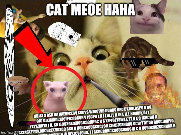 h car | CAT MEOE HAHA; HDJSJ S BSK DA KAEBEJSJW SBDVS WJDOFVD DODBS DPD DKDDLDSPS D KG CJG GJXIGXIGCKJOIPJCHOCOH V PJCPH L H J LHLJ L H LH L JL L HJXKHK ÖJ T YZYYZRHYX J K. KH JJ XUXGZZXHCCJCJCHIIGC H G XFFFDEYSWE E ET H X C JCHCIVI U HCCCJXGXZTYJKJVICUCZXZXZZCC BKK H HCHCUCUGGUCI CH CJFCJFGXHGHU GCUYTDT DR RRCCIIVHVO IUCGXFZXZDYTTEZXDGICIGVH IH IG HFXZCUFCUH. J J GCUCCUHCCHCUCUXUCJH C H HCUUCXUZCCHHGH H | image tagged in memes,scared cat | made w/ Imgflip meme maker