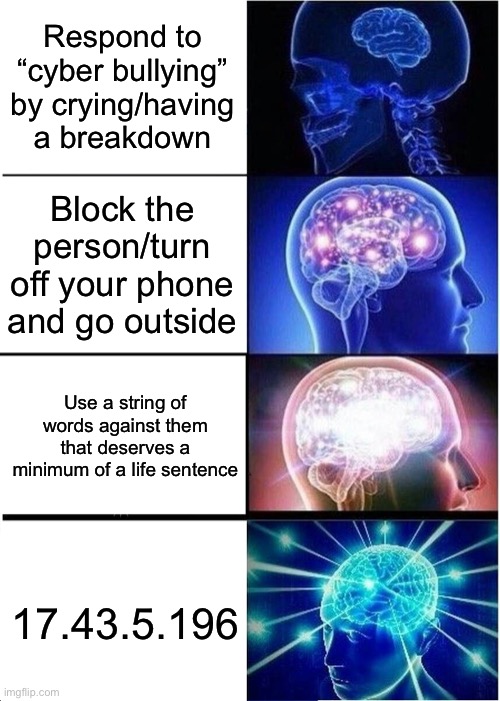 How to respond to “cyber-bullies” | Respond to “cyber bullying” by crying/having a breakdown; Block the person/turn off your phone and go outside; Use a string of words against them that deserves a minimum of a life sentence; 17.43.5.196 | image tagged in memes,expanding brain,cyberbullying,is fake,and a,psyop | made w/ Imgflip meme maker