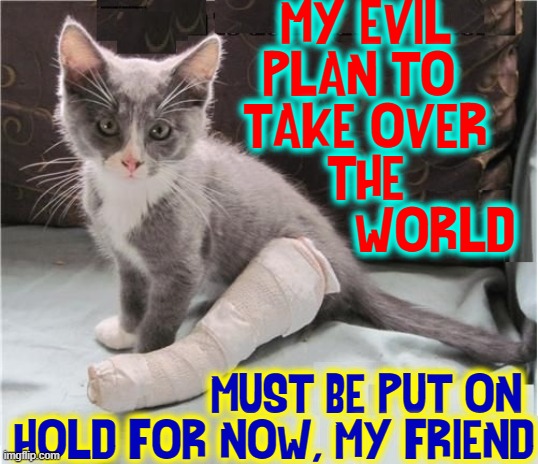 Evil Doktor K-Kitten has a BooBoo | MY EVIL
PLAN TO 
TAKE OVER
THE
          WORLD; MUST BE PUT ON
HOLD FOR NOW, MY FRIEND | image tagged in vince vance,evil plotting,cats,funny cat memes,meow,i love cats | made w/ Imgflip meme maker