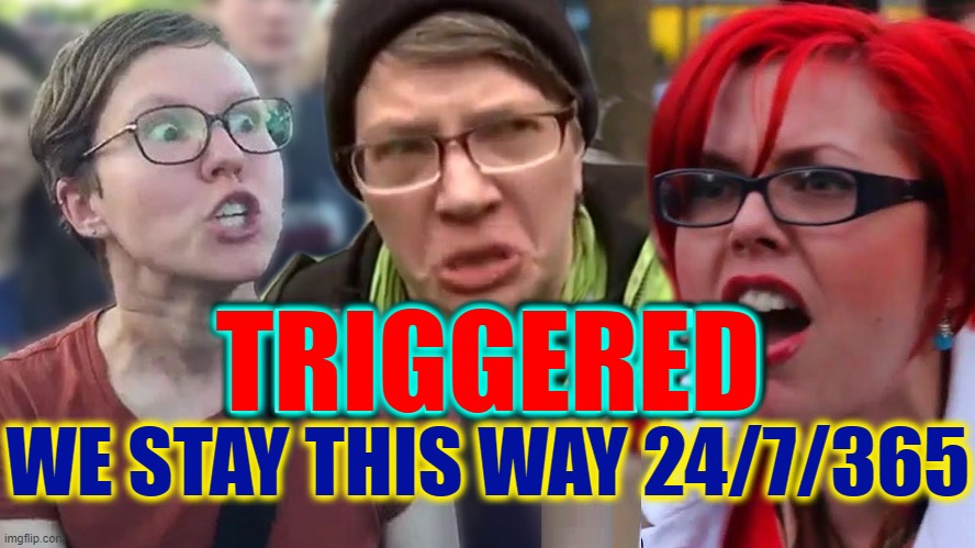 The Truly Triggered never smile, know no jokes, hate comedy | TRIGGERED; WE STAY THIS WAY 24/7/365 | image tagged in vince vance,triggered feminist,triggered liberal,libtards,college liberal,memes | made w/ Imgflip meme maker