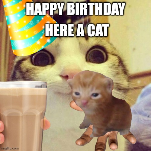 Happy b day bro | HERE A CAT; HAPPY BIRTHDAY | image tagged in happy birthday | made w/ Imgflip meme maker