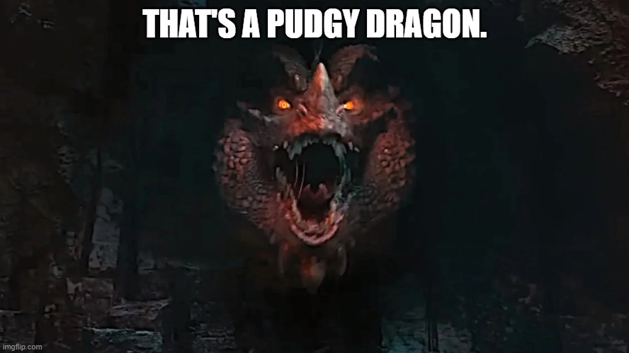 For those who have seen the D&D movie | THAT'S A PUDGY DRAGON. | image tagged in dungeons and dragons | made w/ Imgflip meme maker