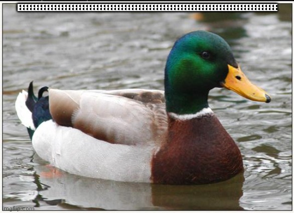 eeeeeeee | EEEEEEEEEEEEEEEEEEEEEEEEEEEEEEEEEEEEEEEEEEEEEEEEEEEEEEEEEEEEEEEEEEEEEEEEEE | image tagged in memes,actual advice mallard | made w/ Imgflip meme maker