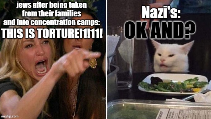 wowie i shure love being a slave | jews after being taken from their families and into concentration camps:; Nazi's:; OK AND? THIS IS TORTURE!1!11! | image tagged in angry lady cat | made w/ Imgflip meme maker