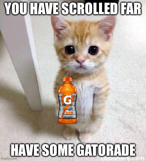 Cute Cat | YOU HAVE SCROLLED FAR; HAVE SOME GATORADE | image tagged in memes,cute cat | made w/ Imgflip meme maker