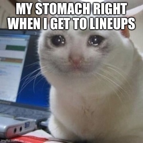 Crying cat | MY STOMACH RIGHT WHEN I GET TO LINEUPS | image tagged in crying cat | made w/ Imgflip meme maker